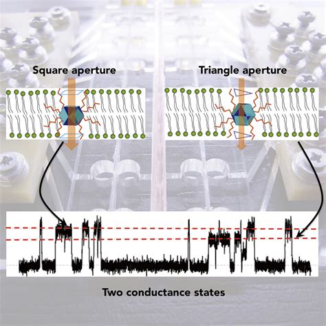 metal box for ion channels with multiple conductance states|Reliable Multivalued Conductance States in TaOx .